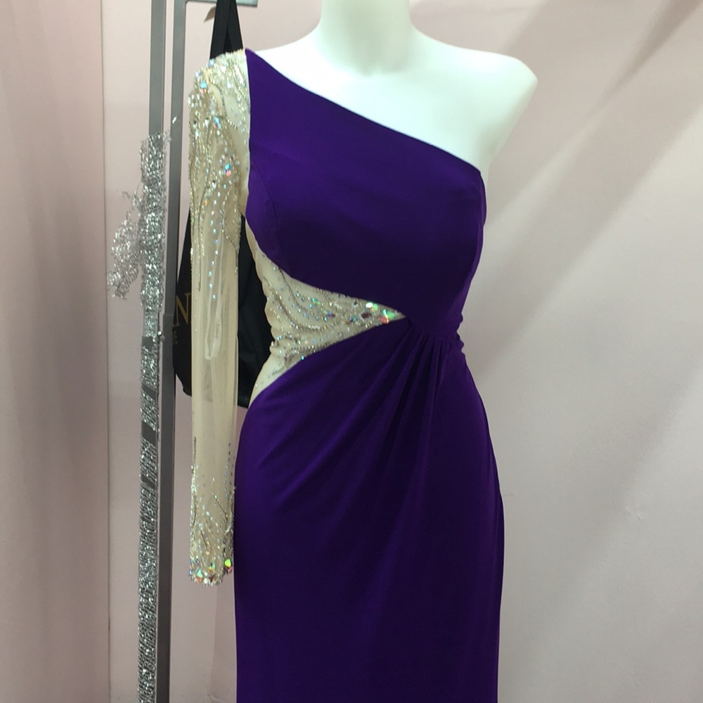 NWT PURPLE AND SHEER DRESS WITH SLEEVE